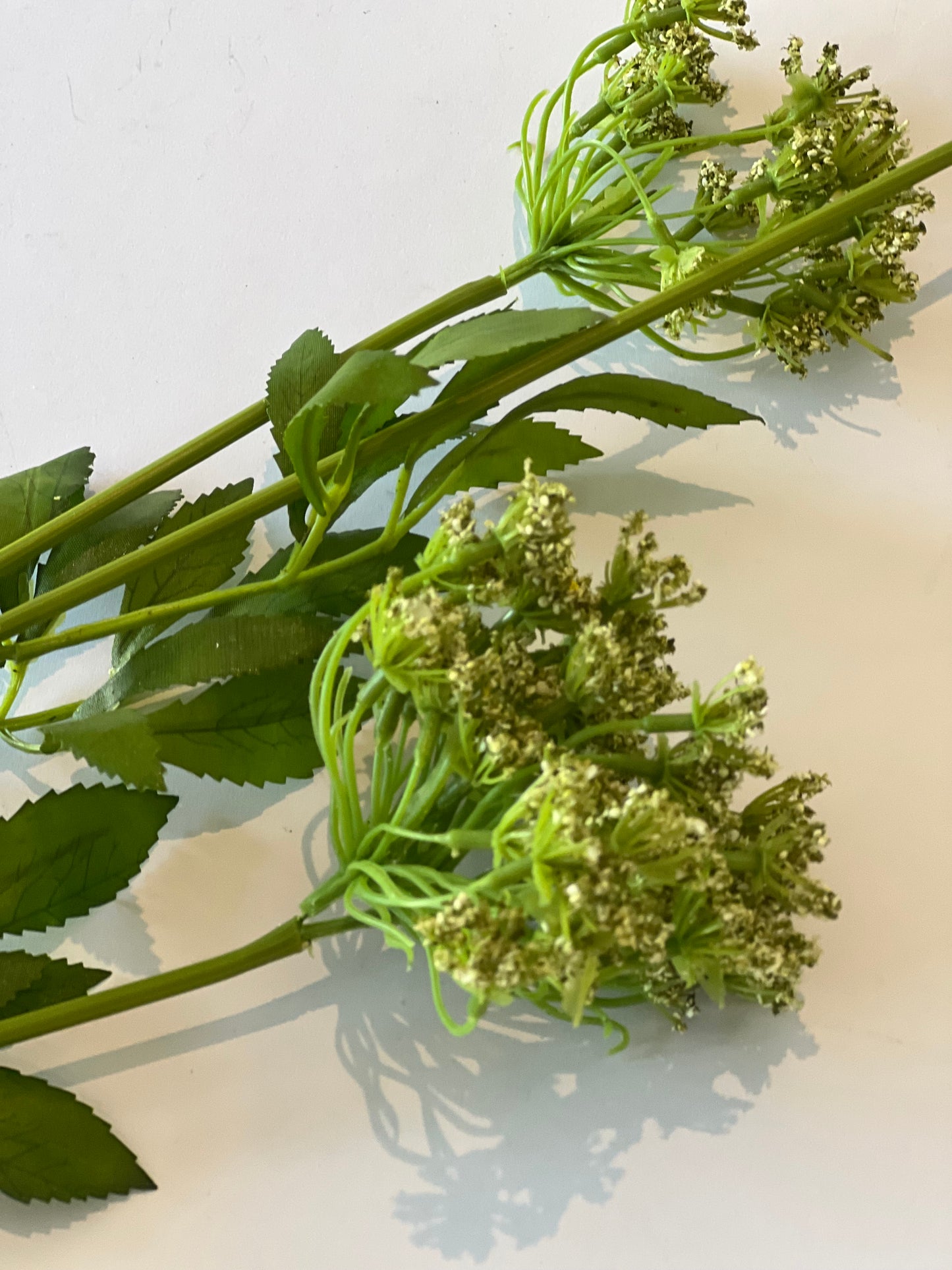 Tall faux cow parsley wildflower