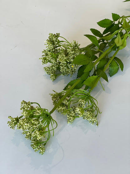 Tall faux cow parsley wildflower