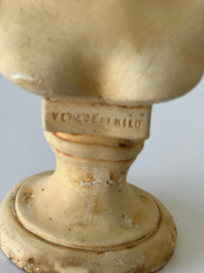 Vintage Venus de Milo Sculpture – 25x16cm