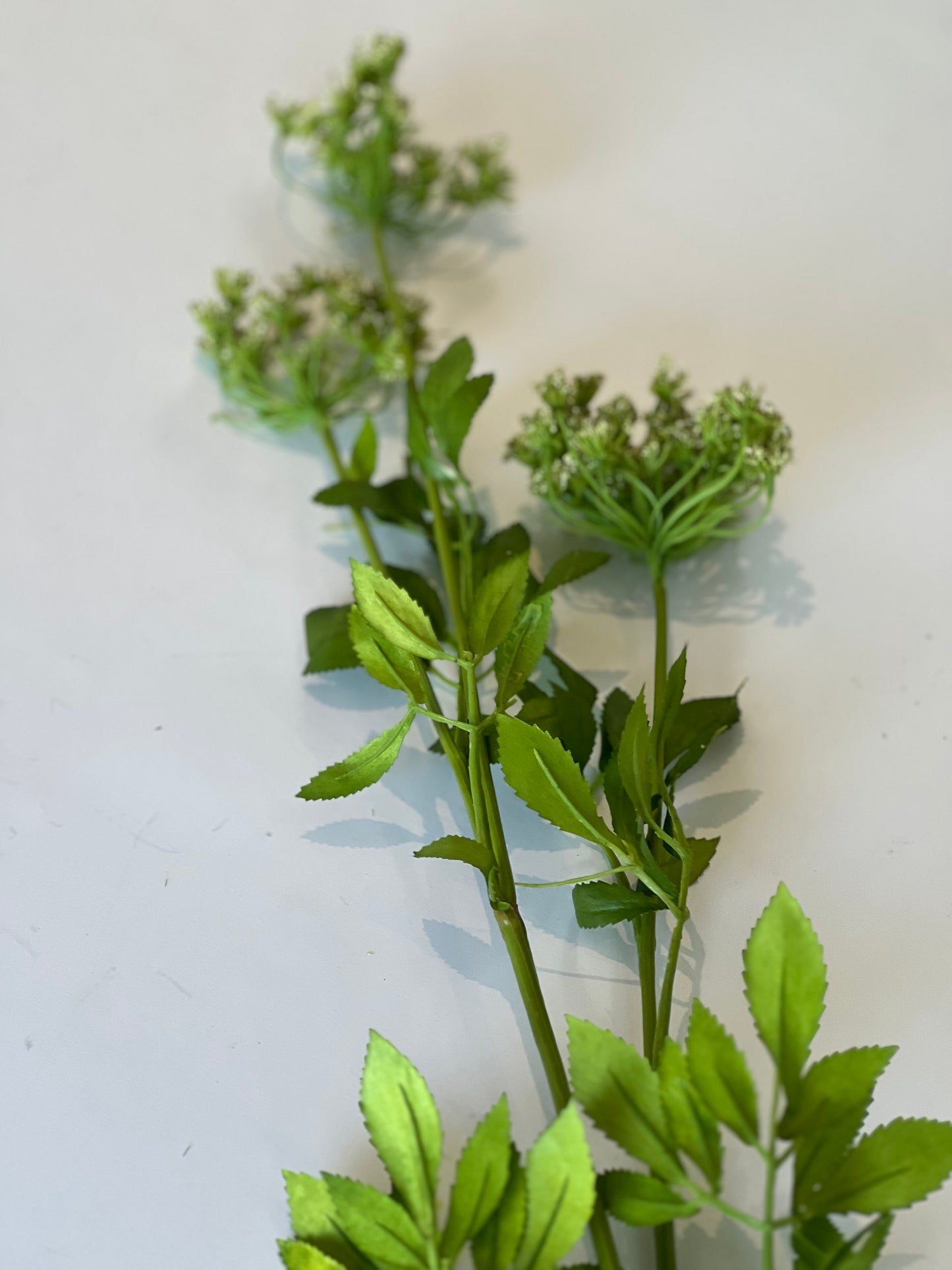 Tall faux cow parsley wildflower