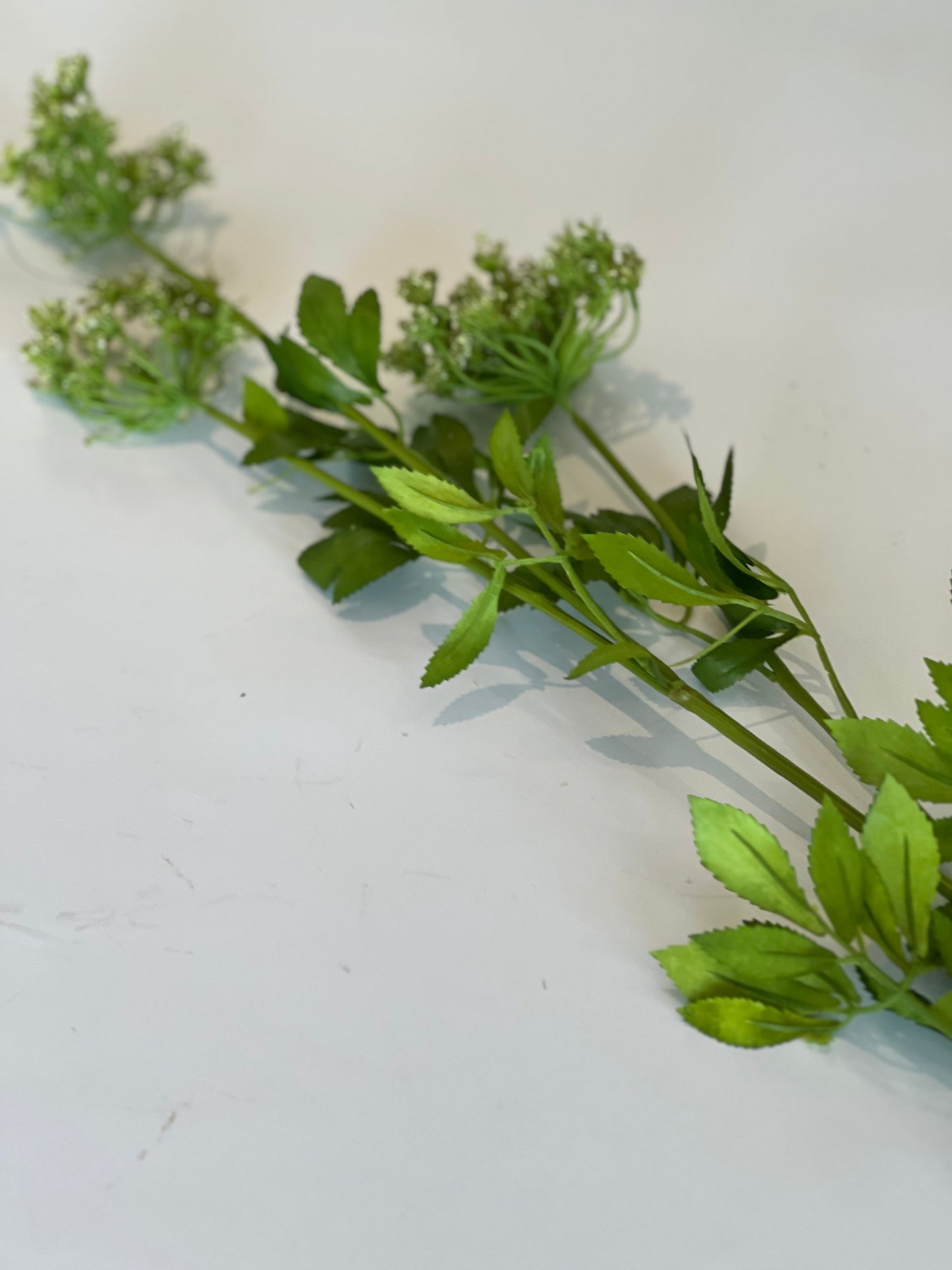 Tall faux cow parsley wildflower