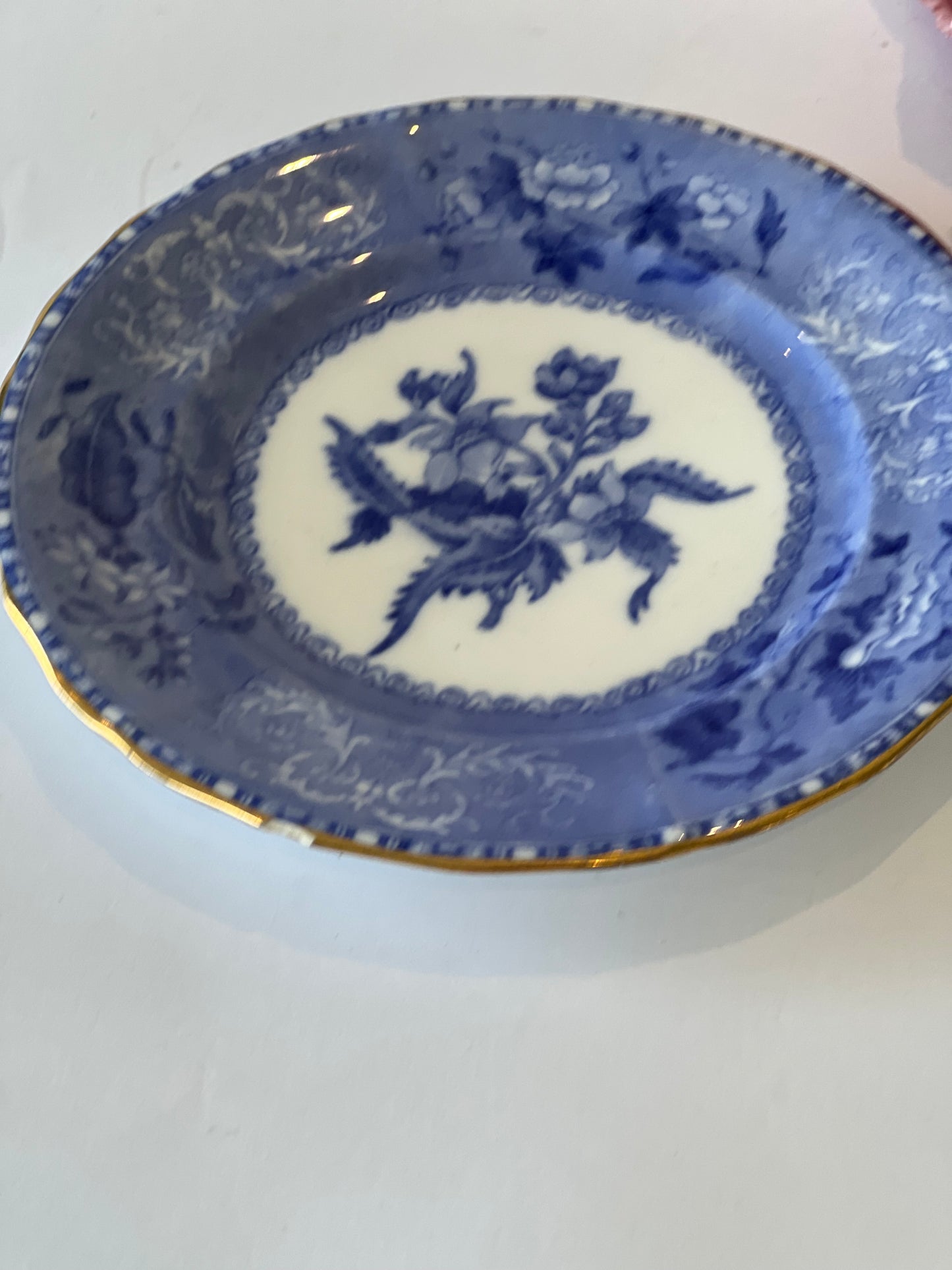 Vintage Spode