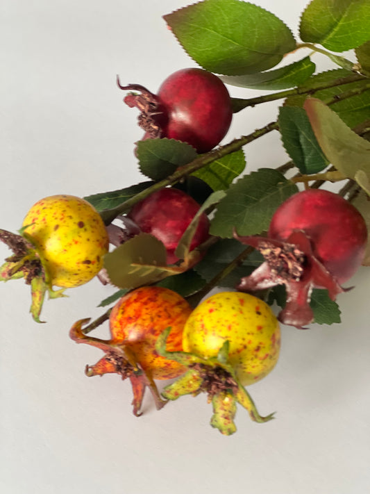 Rosehip branch 58cm Red. Orange, Yellow Berries