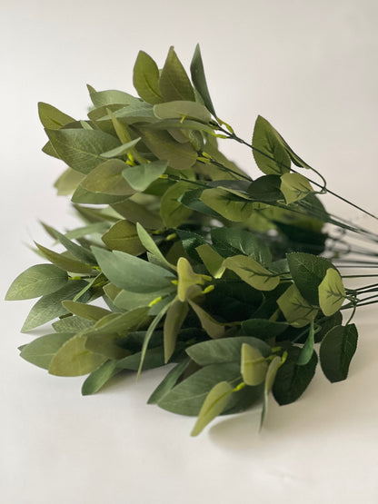 Green foliage x 18 bush ( hard Ruscus )