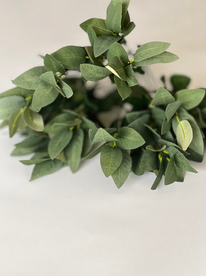 Green foliage x 18 bush ( hard Ruscus )