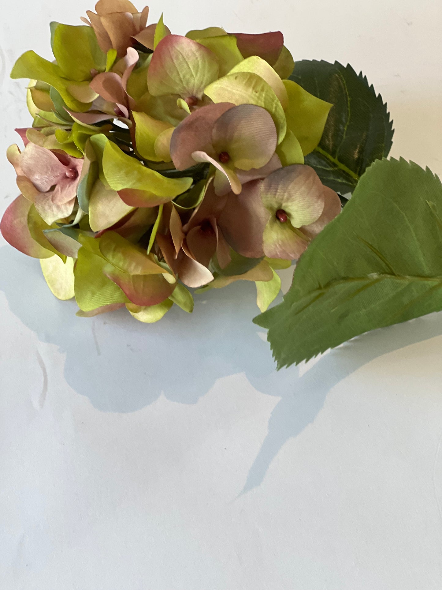 Garden hydrangea 58cm