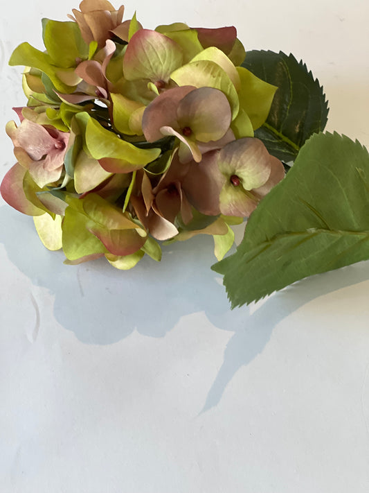 Garden hydrangea 58cm