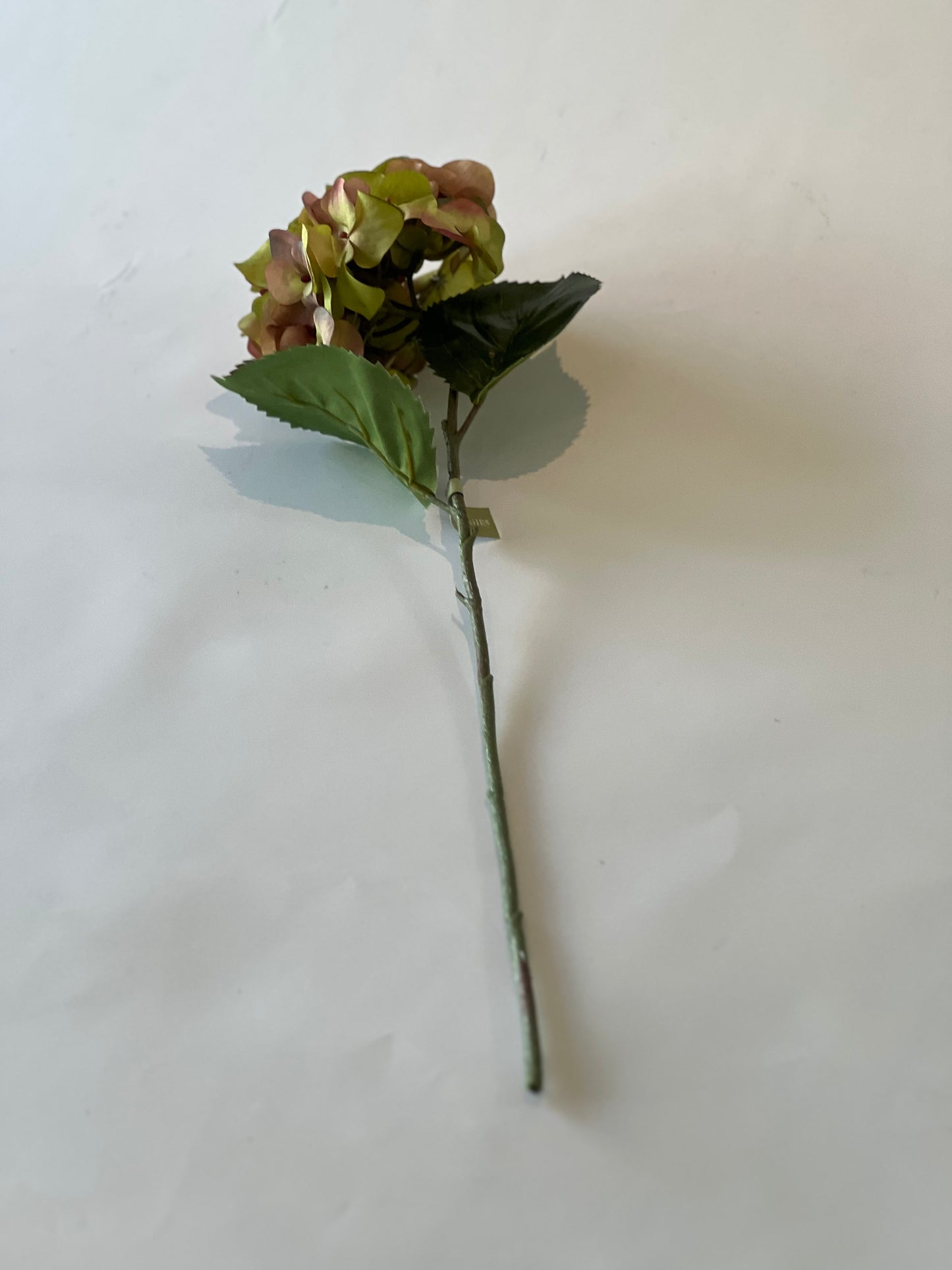 Garden hydrangea 58cm