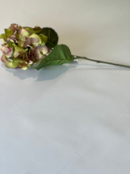 Garden hydrangea 58cm