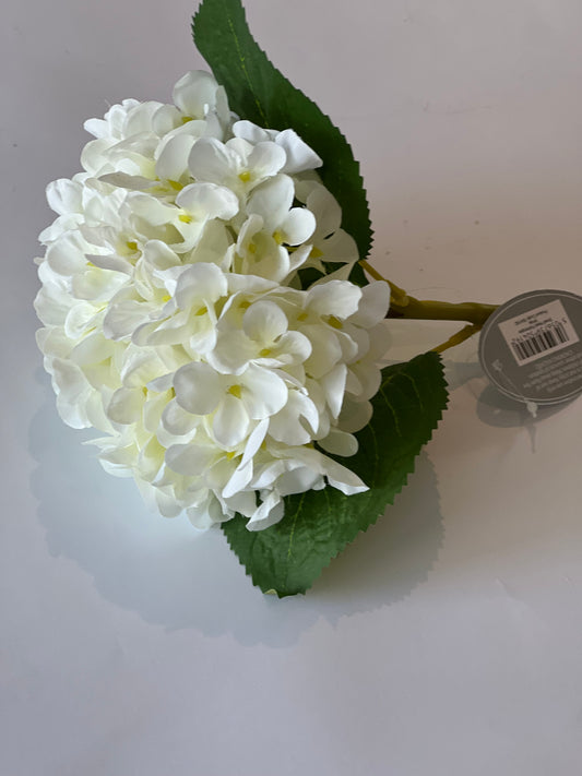 Small head hydrangea white 48 cm