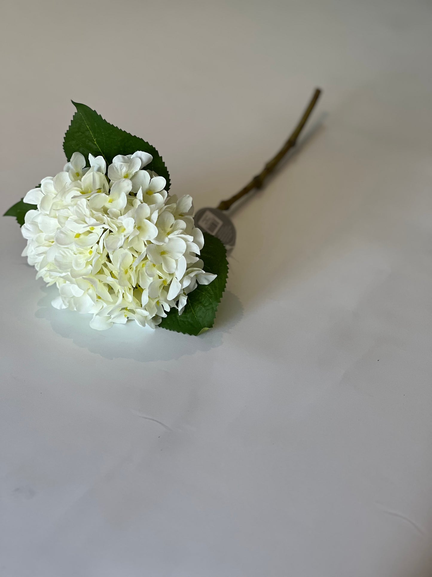 Small head hydrangea white 48 cm