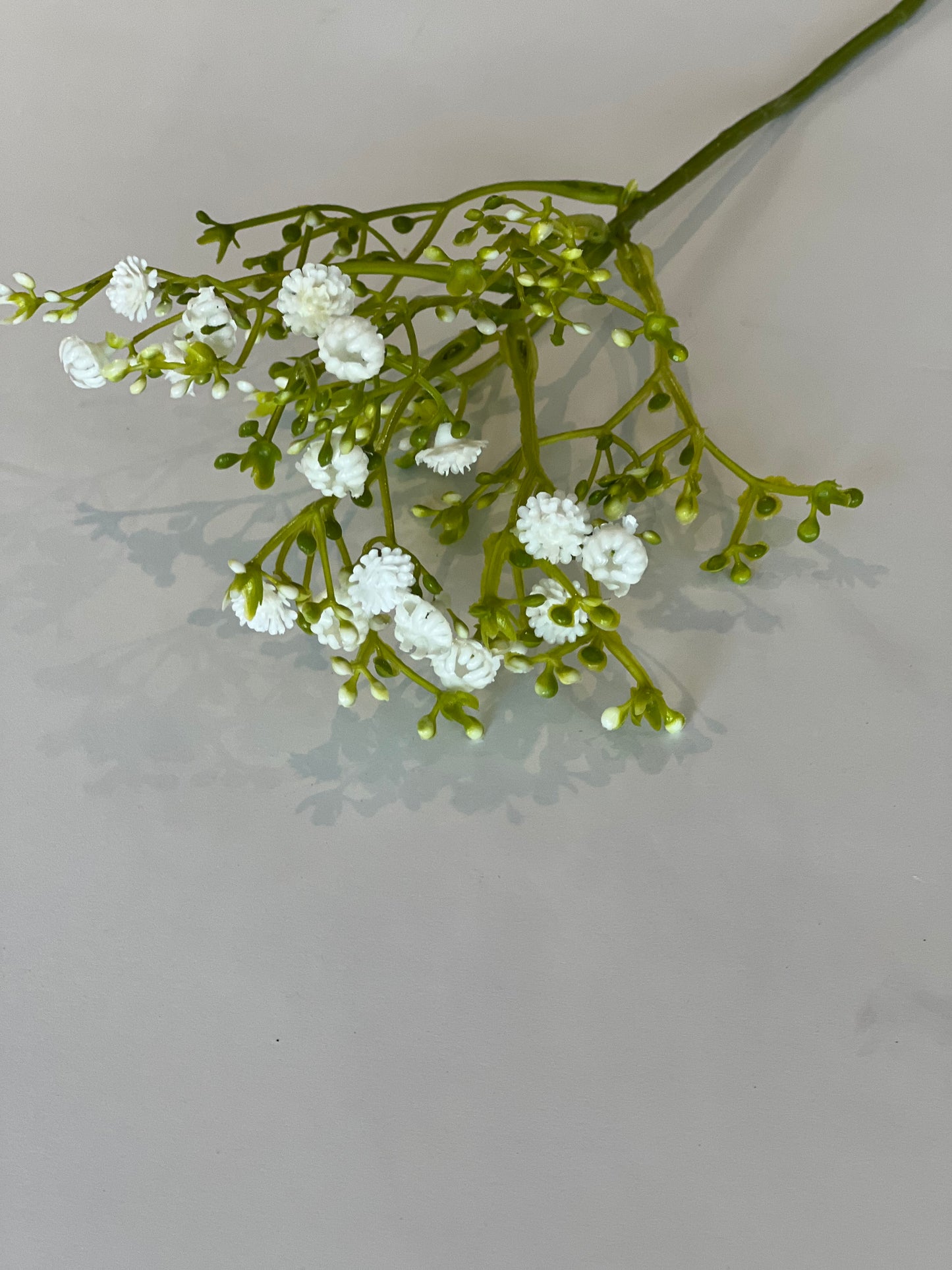 Gypsophila bundle 37cm 5 stems in bundle