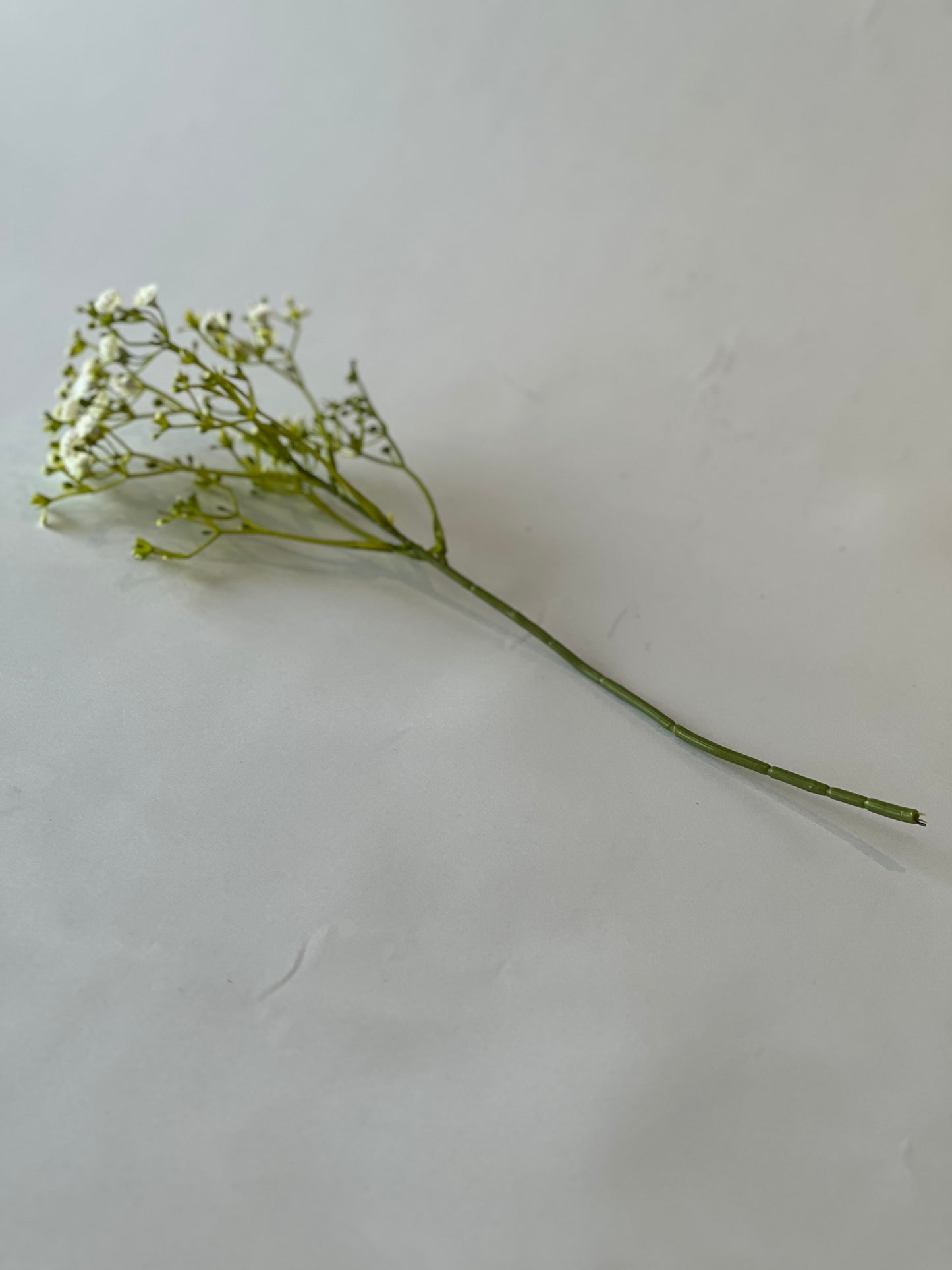 Gypsophila bundle 37cm 5 stems in bundle