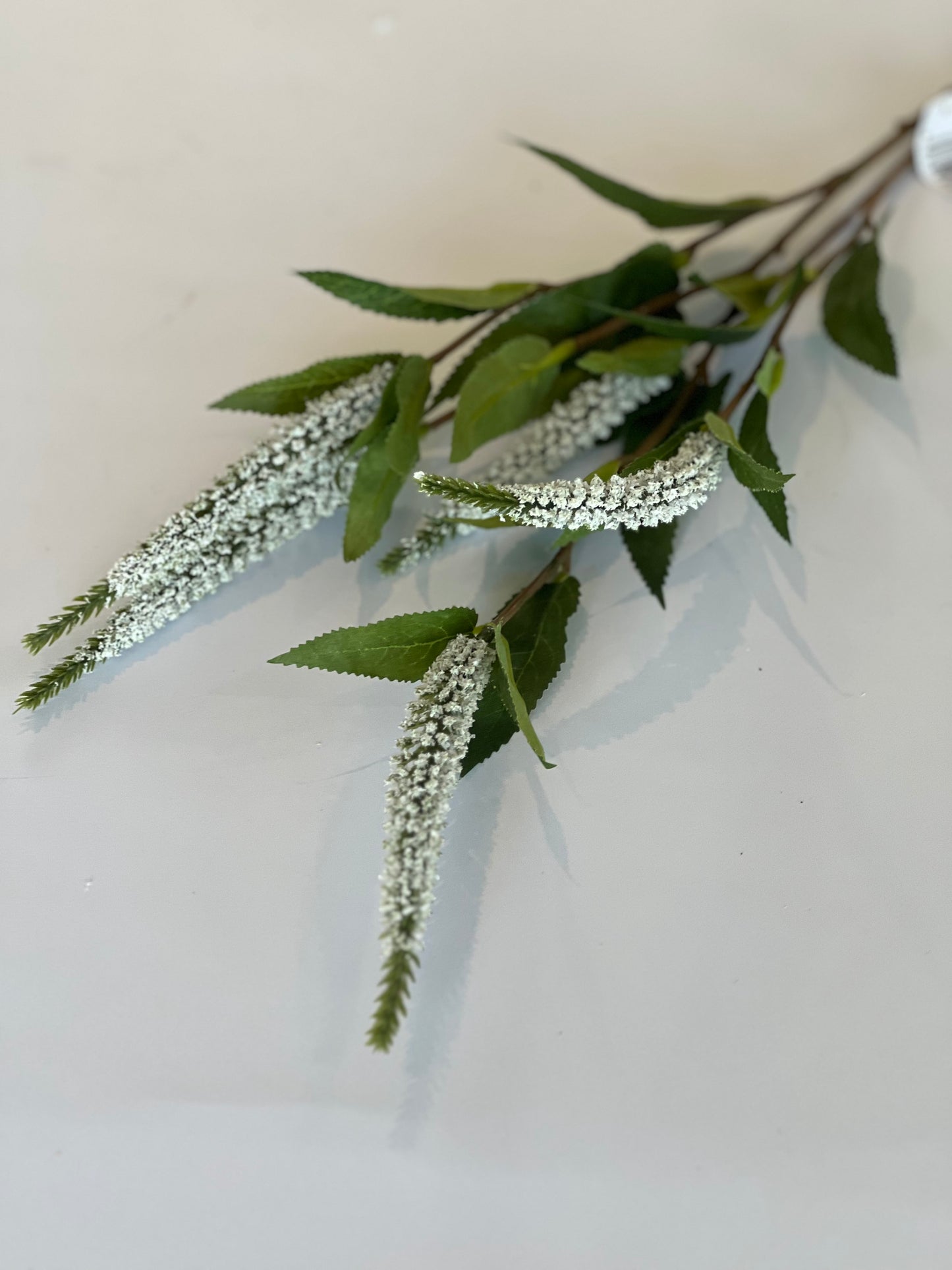 Veronica spray white 73cm