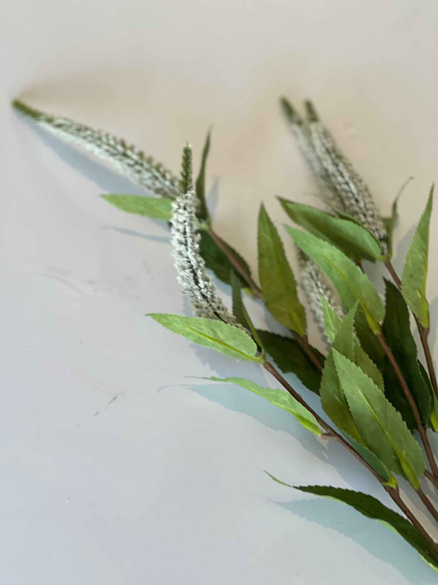 Veronica spray white 73cm