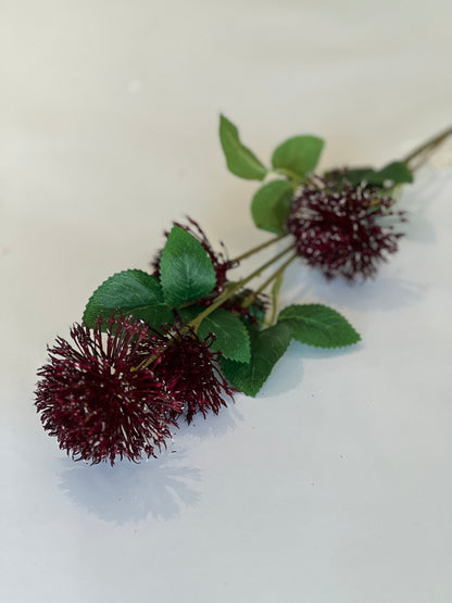 Fireball stem burgundy 75cm