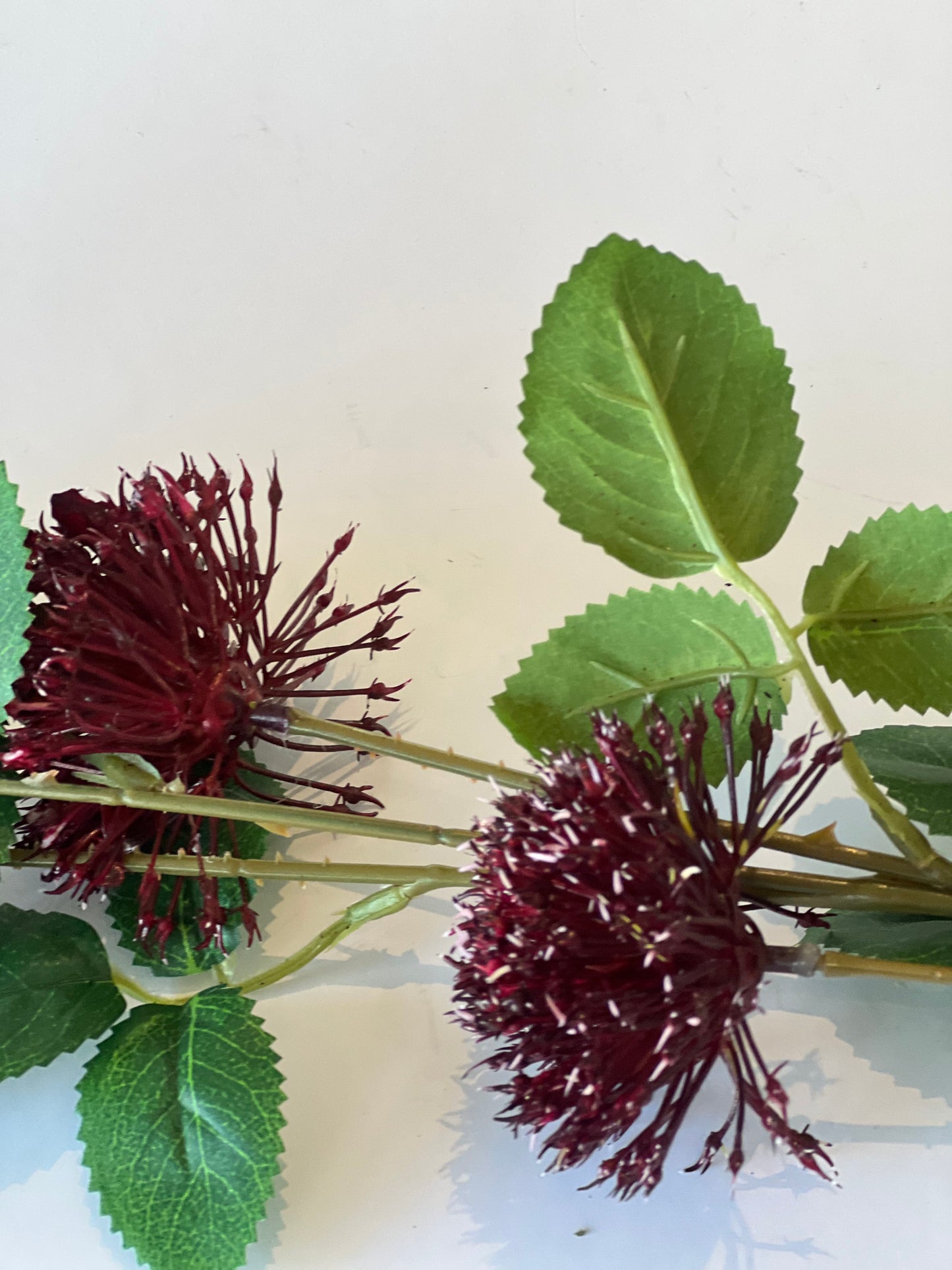 Fireball stem burgundy 75cm