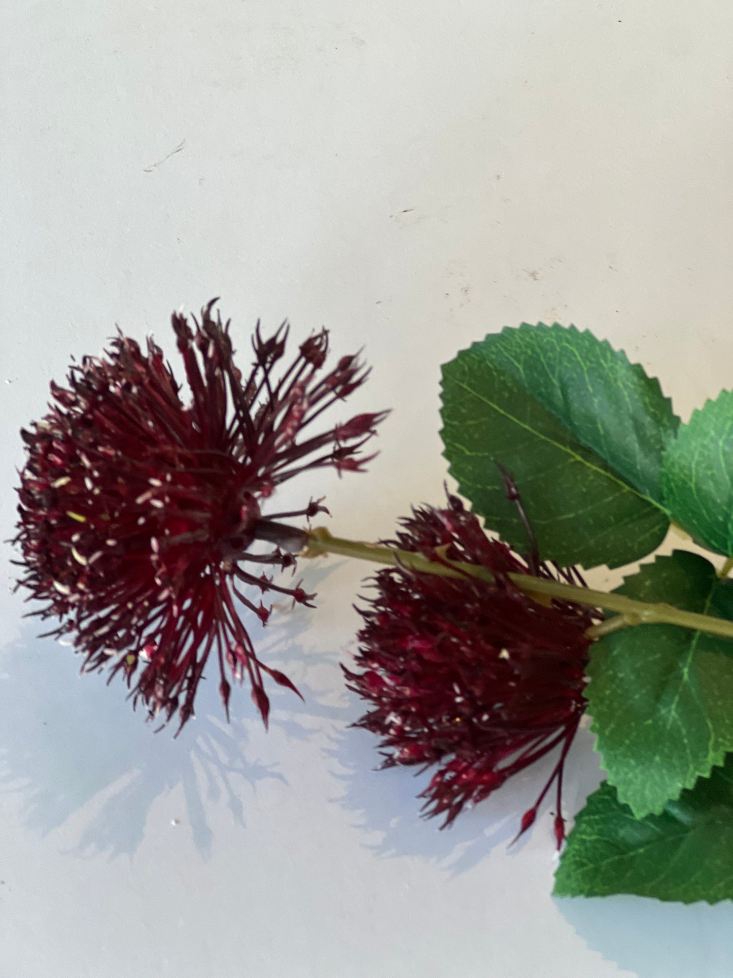 Fireball stem burgundy 75cm