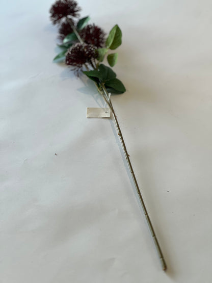 Fireball stem burgundy 75cm