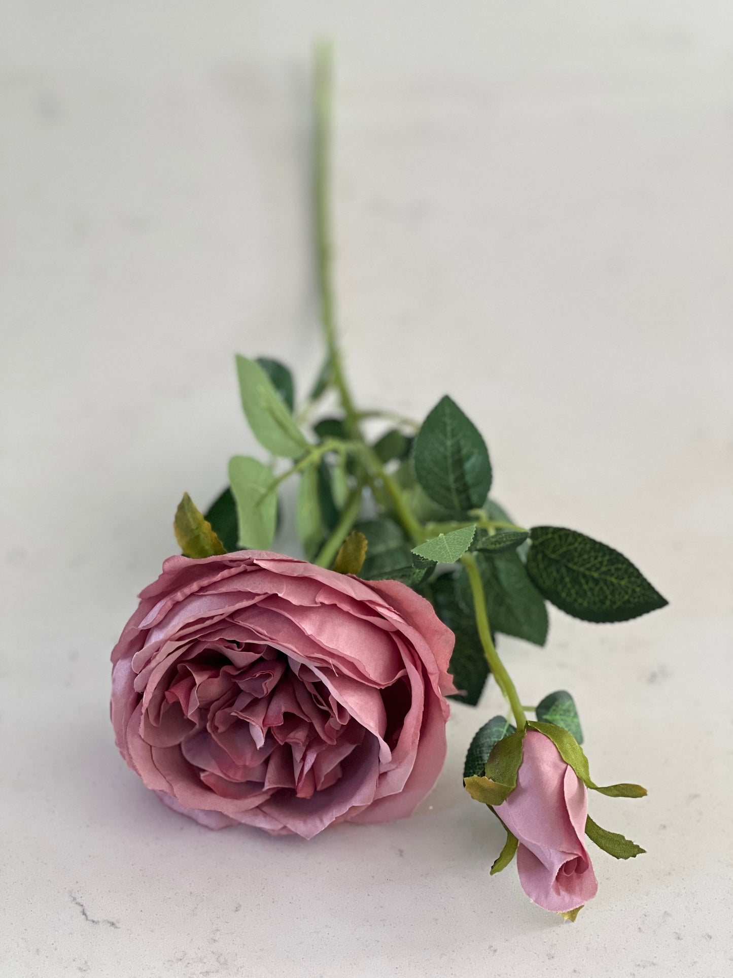 Silk English rose vintage mauve 64cm