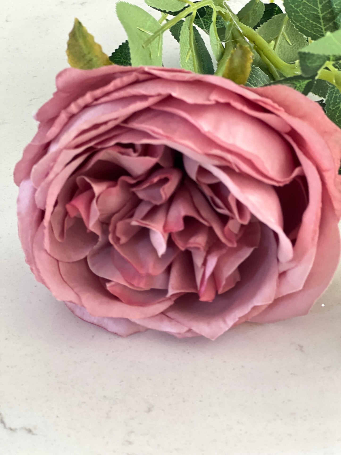 Silk English rose vintage mauve 64cm