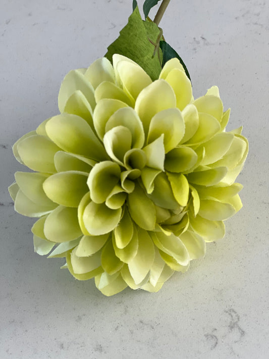 Fiesta Dahlia Green 46cm