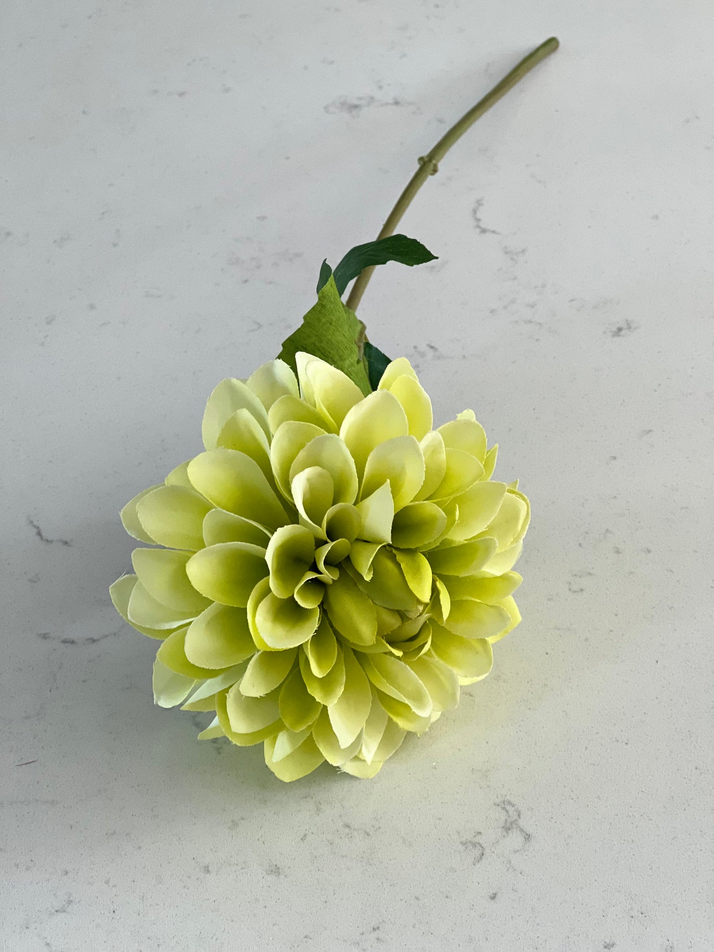 Fiesta Dahlia Green 46cm