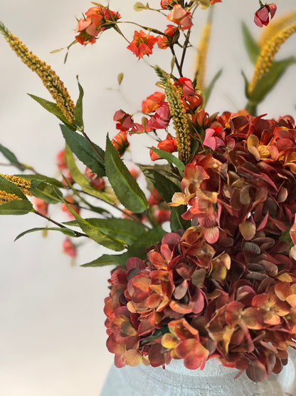 Large Autumnal Hydrangea
