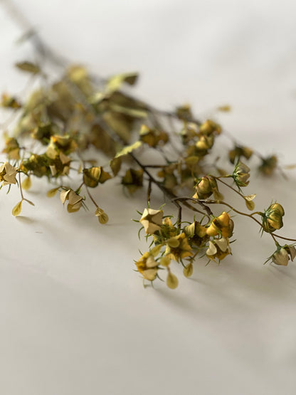 Autumn Geum Faux spray coral