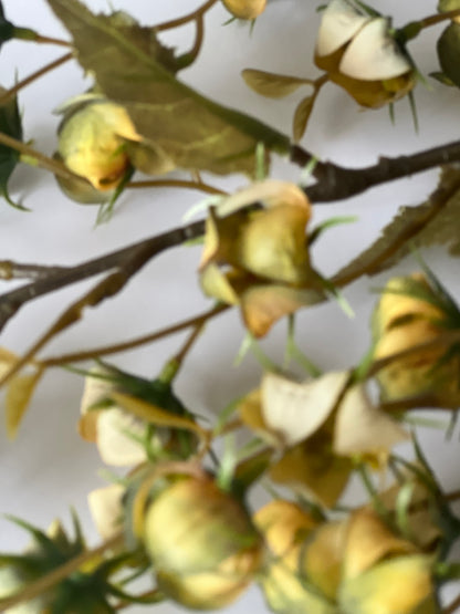 Autumn Geum Faux spray coral