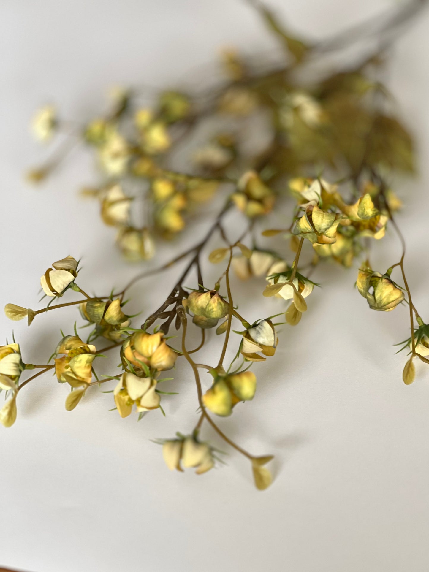 Autumn Geum Faux spray coral