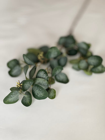 Eucalyptus spray with Berries