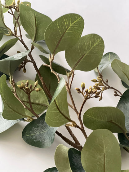 Eucalyptus spray with Berries