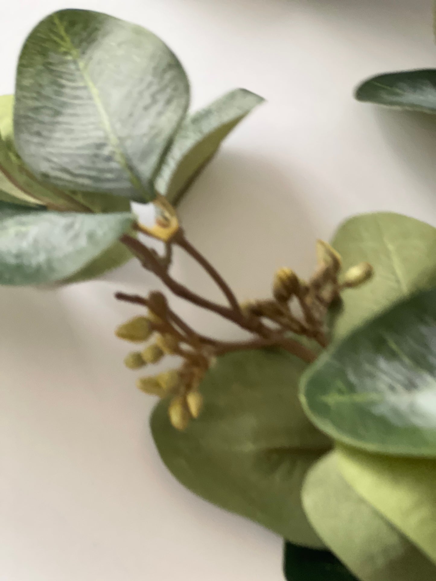 Eucalyptus spray with Berries