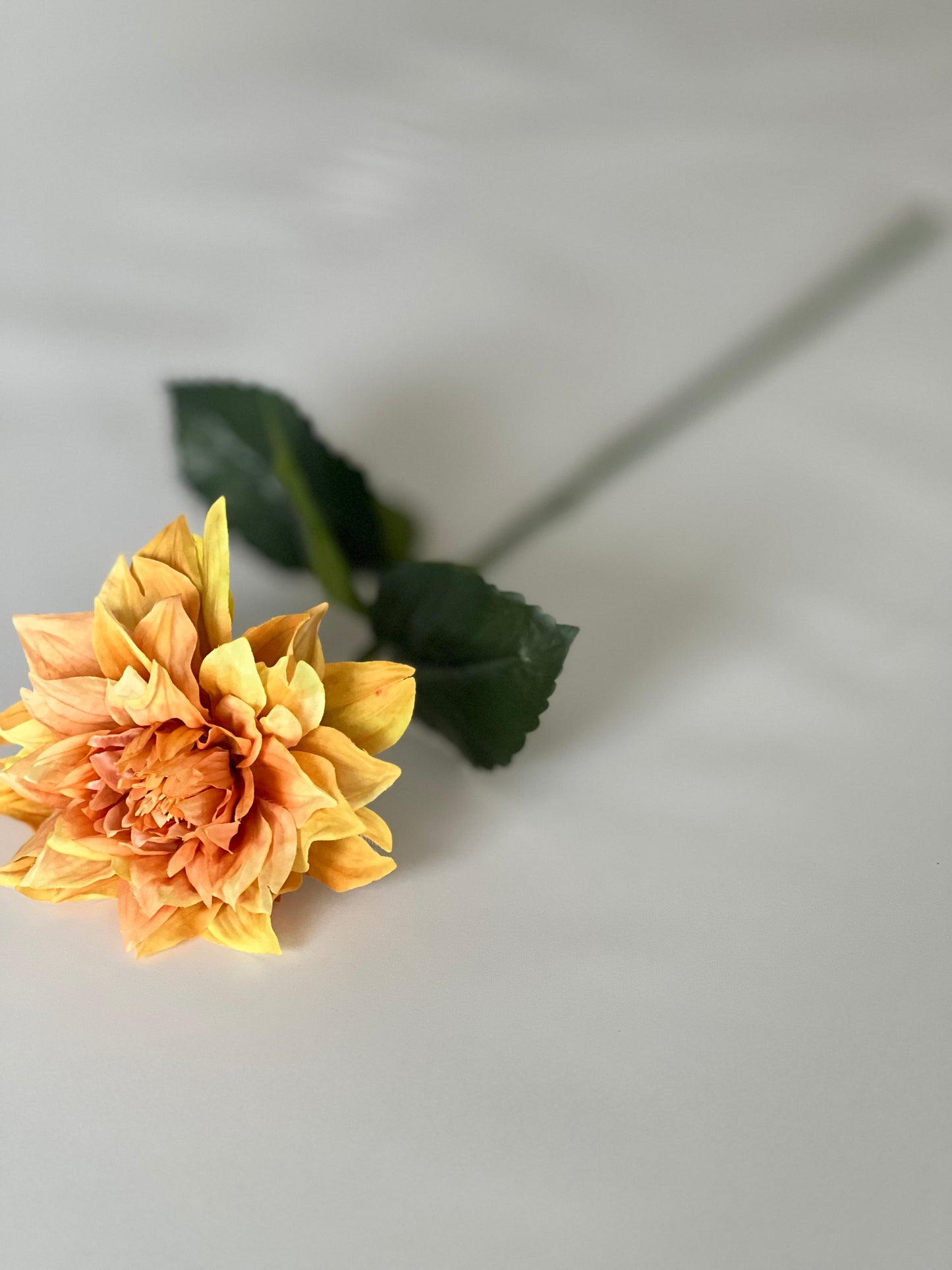 Juliet Dahlia faux stem 65cm